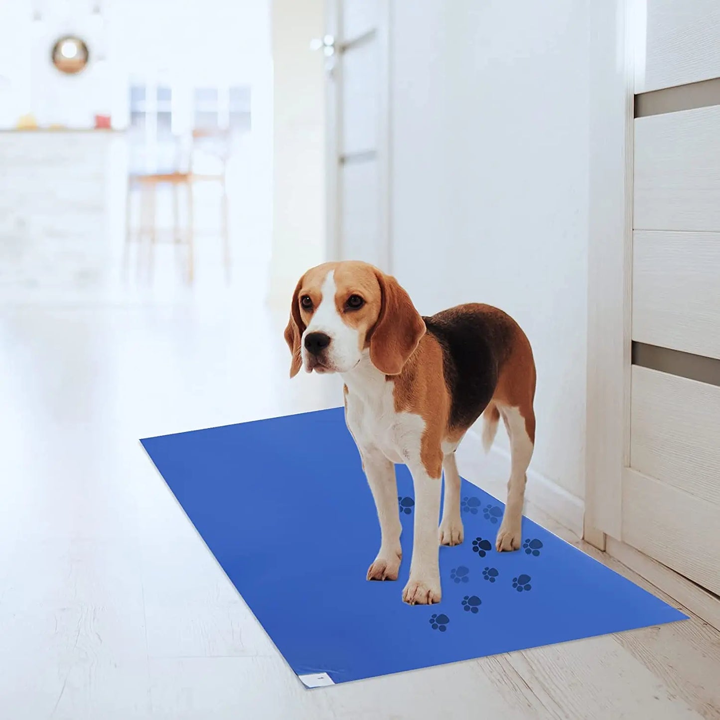 30 Layers White Blue Adhesive Floor Peelable Basketball Court Data Center Sticky Mats Sports for Cleaning Shoes